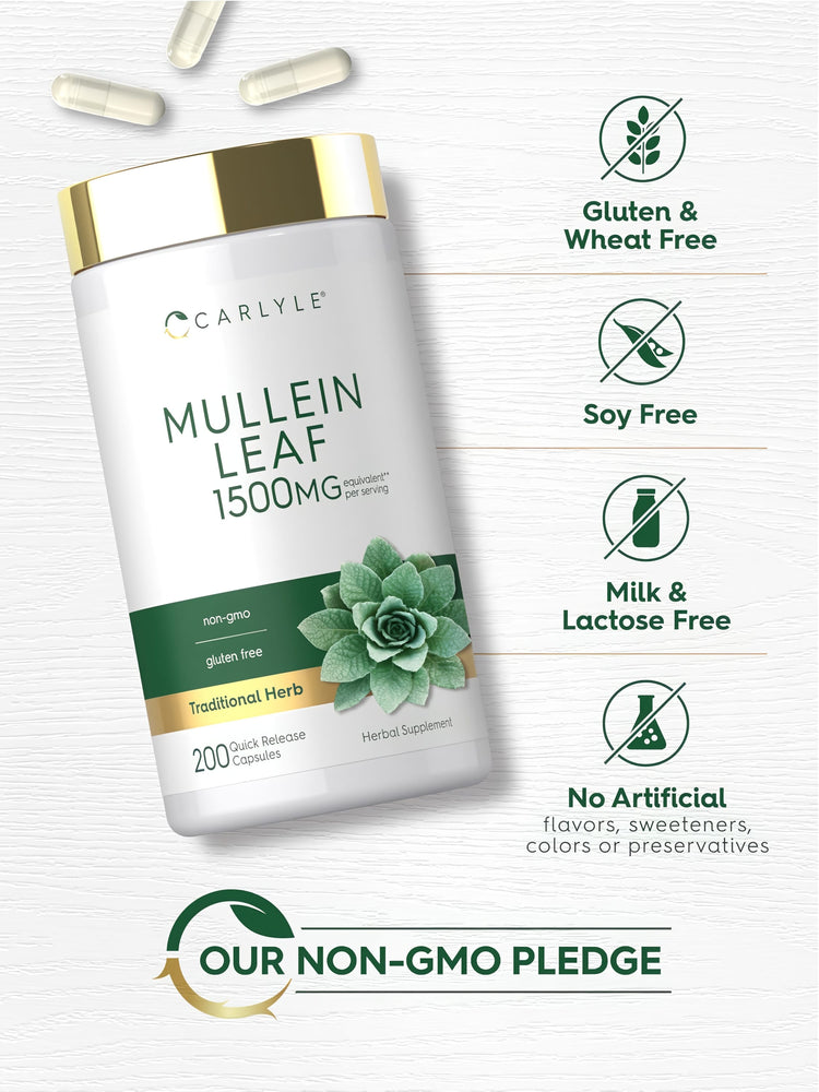 Mullein Leaf bottle: Gluten & Wheat Free, Soy Free, Milk & Lactose Free, No Artificial Flavors/Sweeteners/Colors/Preservatives, Non-GMO