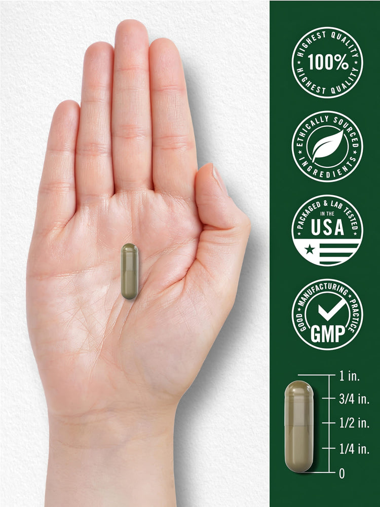 A capsule rests on a hand, measuring approximately 3/4 inch in length, showcasing its small and portable size.