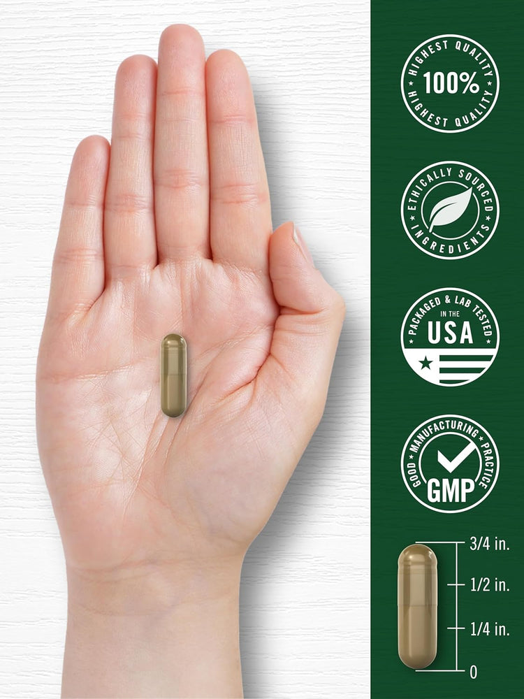 Wormwood capsule, 3/4 in. Infographic: 100% Highest Quality, Ethically Sourced Ingredients, Packaged & Lab Tested USA, GMP.