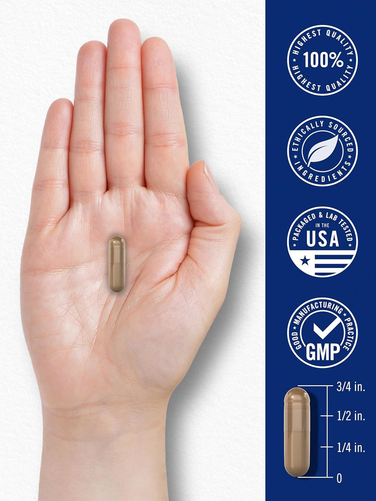Carlyle Blood Circulation Support Complex capsule on a hand, 3/4 inch long. Highest Quality, Ethically Sourced, USA Tested, GMP.