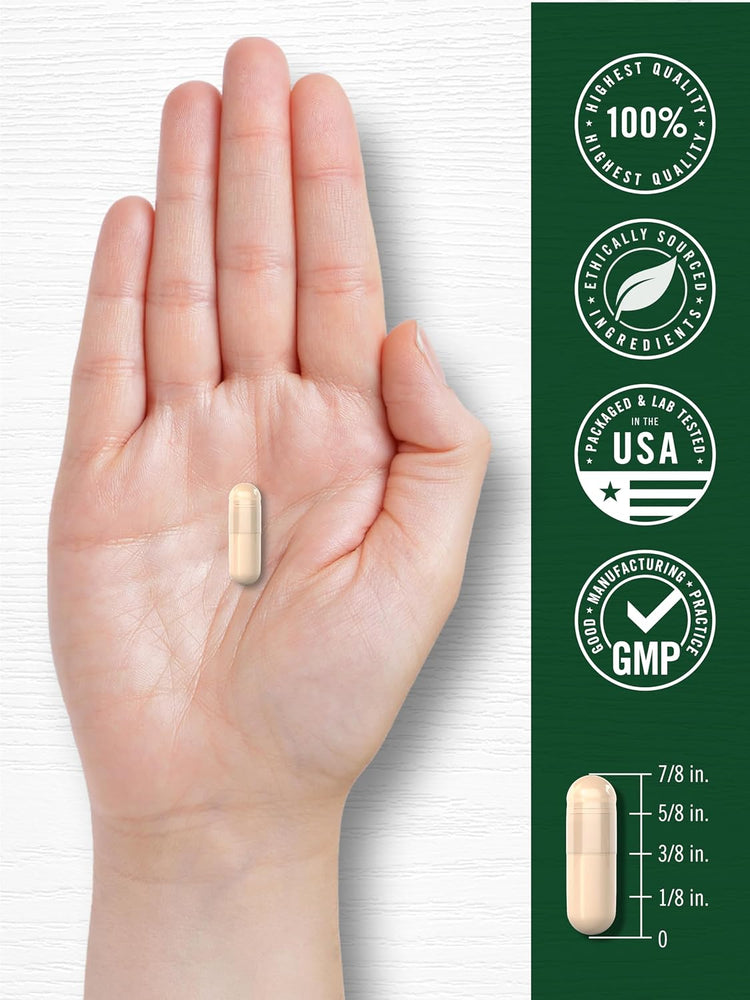 A hand holds a capsule with a diagram showing it measures 7/8 inch.