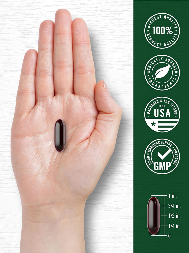 Infographic showing 100% highest quality, ethically sourced ingredients, packaged and lab tested in the USA, GMP, softgel 1 inch.