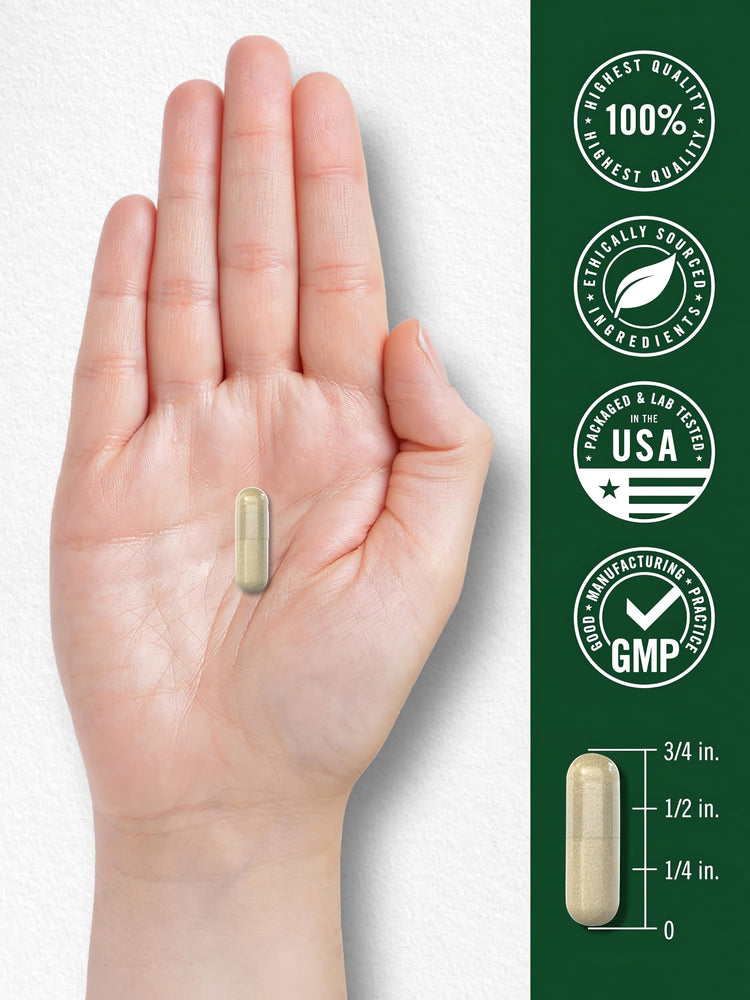 A Carlyle Red Clover capsule, approximately 3/4 inch long, rests in the palm of a hand for size reference.