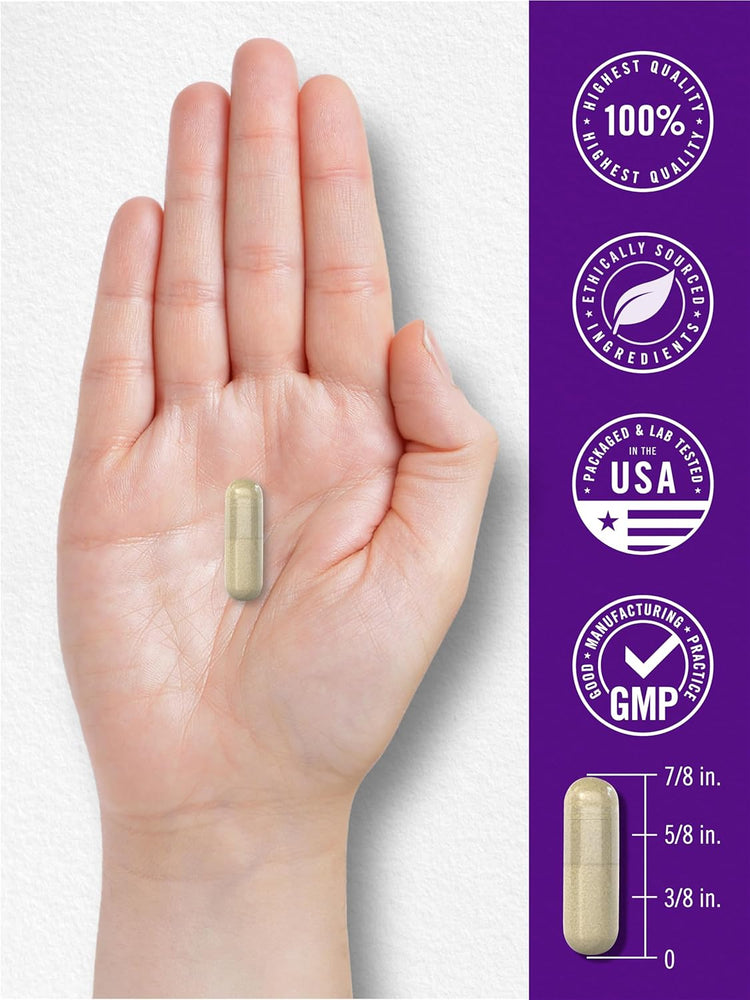 Gallbladder Formula capsule in hand, 7/8 in. long. Features: Highest quality, ethically sourced, USA tested, GMP certified.