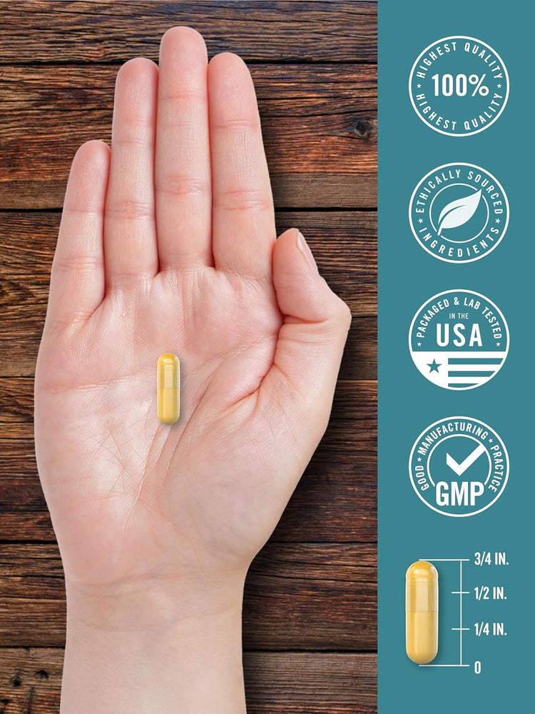Carlyle Ox Bile 500 mg capsule on hand; measures 3/4 in. Infographic: 100% Quality, Ethically Sourced, USA Lab Tested, GMP.