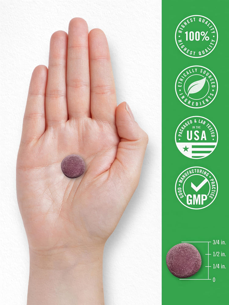 A single CL Lil Sprouts Magnesium Berry gummy in a hand; measures 3/4 inch in diameter and 1/4 inch in height.