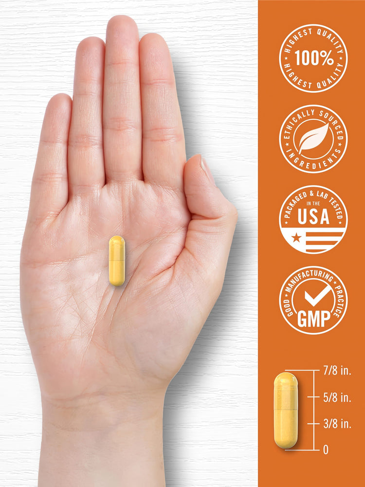 Kurkuma Curcumin mit Schwarzem Pfeffer | 180 Kapseln