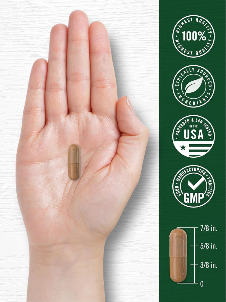 African Mango Green Tea capsule, 7/8 inch on hand, 100% highest quality, ethically sourced, USA packaged/tested, GMP certified.