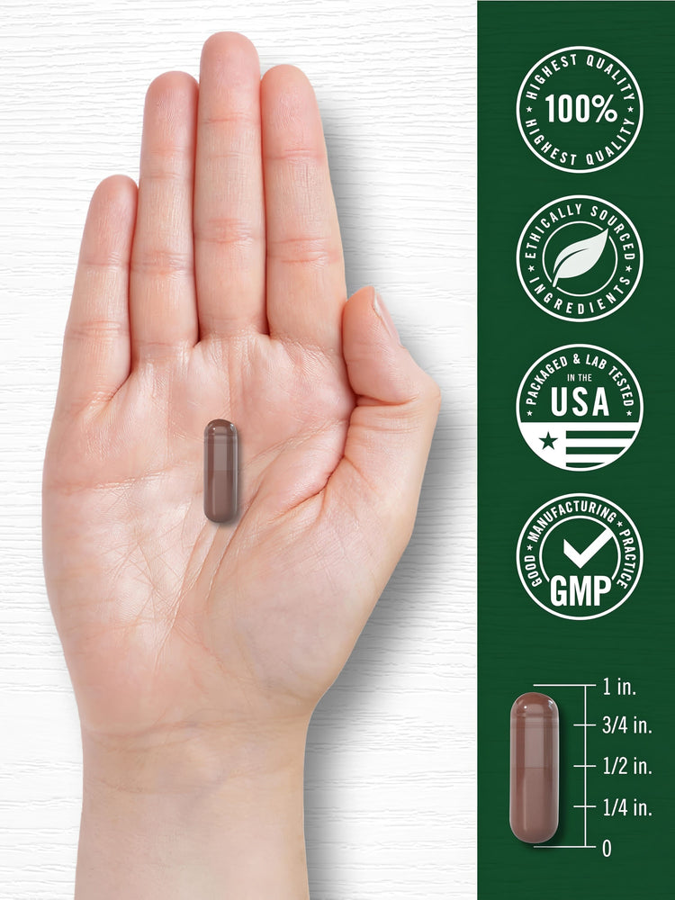A brown CL Grapeseed Extract capsule is held in a hand, next to a ruler showing a length of 1 inch.