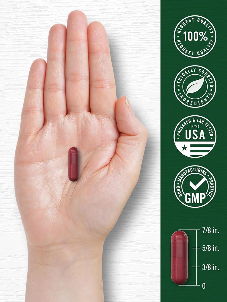 Carlyle Beet Root capsule on a hand with size measurements: 7/8 in., 5/8 in., 3/8 in., and quality claims displayed.