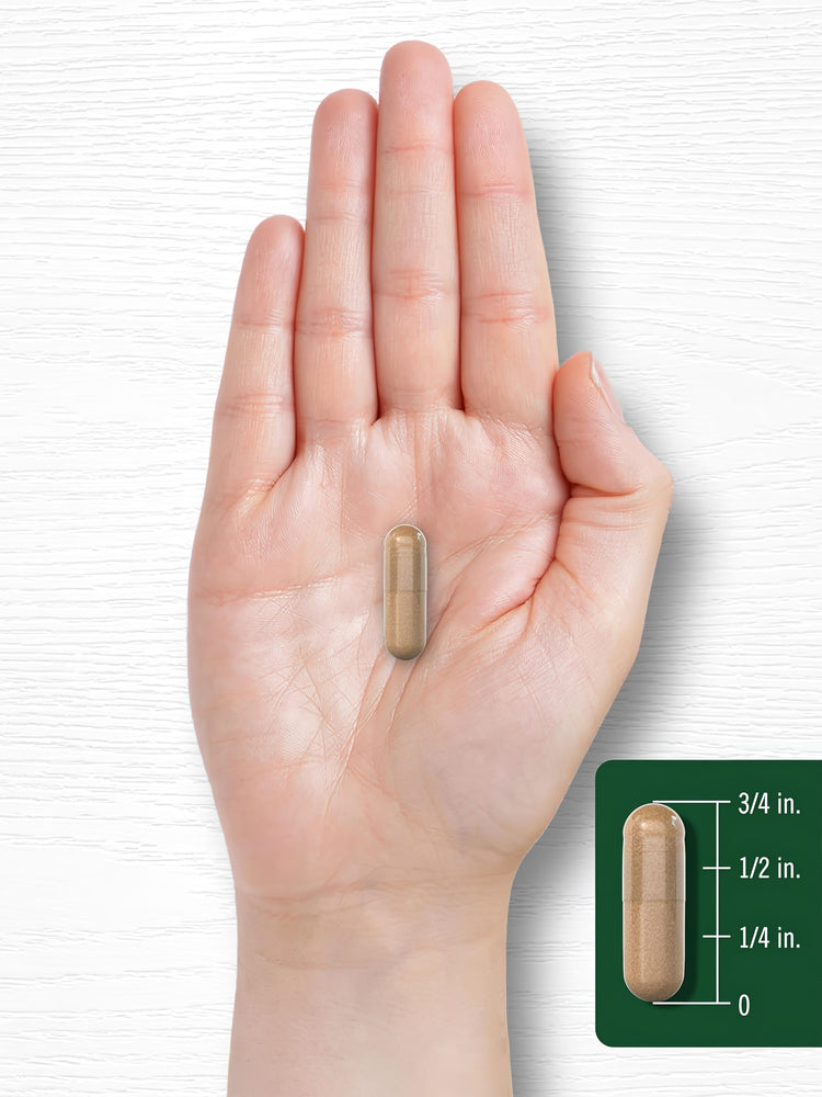 Capsule measures three-fourths of an inch.
