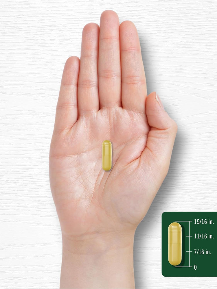 Carlyle Berberine with Ceylon Cinnamon 2000mg capsule, measuring 11/16 inches, rests on a human palm.