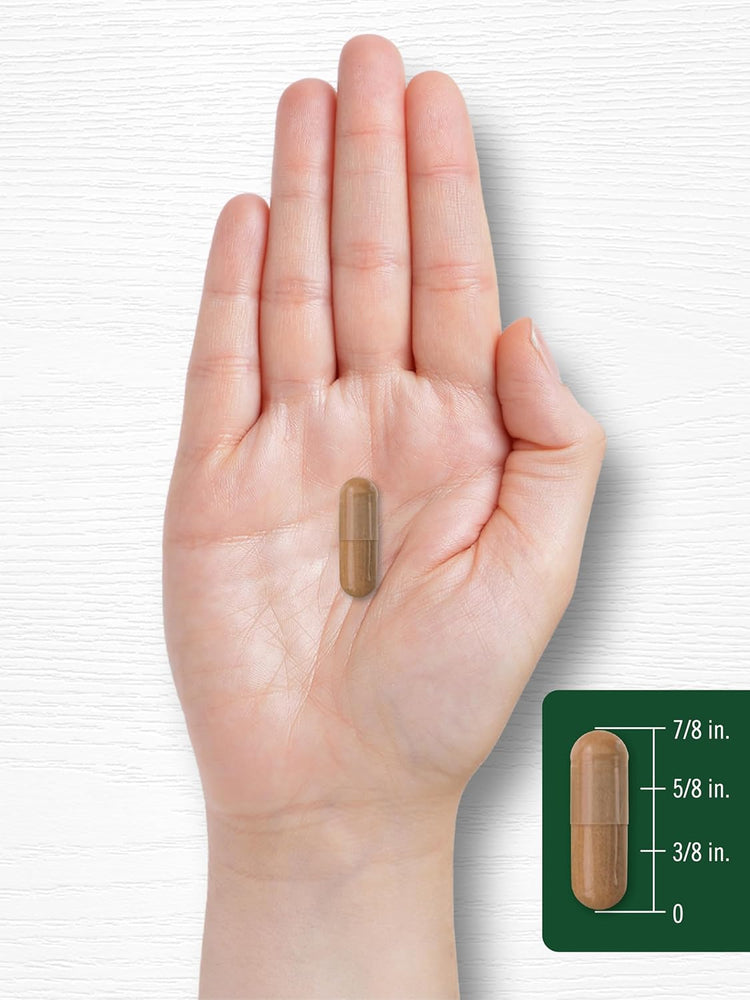 A hand holds a capsule measuring 7/8 inch long.