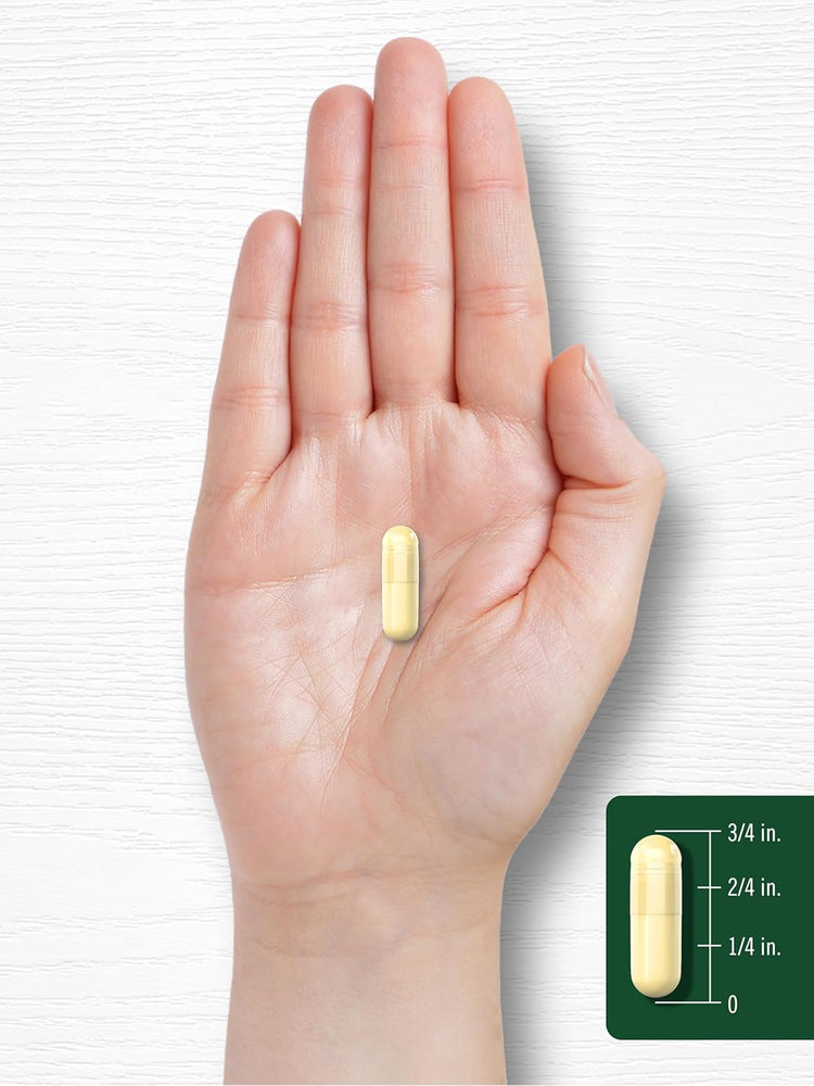 A light yellow capsule measuring about 3/4 inch in length.