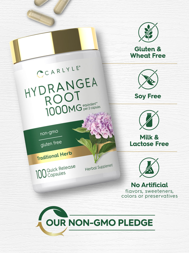 Carlyle Hydrangea Root 1000 mg bottle with capsules and icons indicating Gluten & Wheat Free, Soy Free, Milk & Lactose Free, No Artificial flavors, sweeteners, colors or preservatives