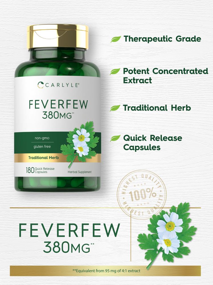 Carlyle Feverfew 380 mg capsules, 180 count, shown on hand scale to illustrate size and quantity of bottle.