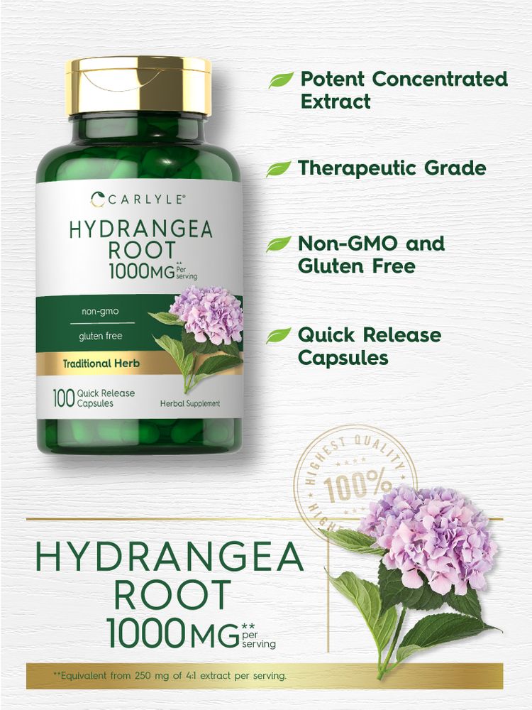 Product highlights graphic stating Potent Concentrated Extract, Therapeutic Grade, Non-GMO and Gluten Free, Quick Release Capsules.