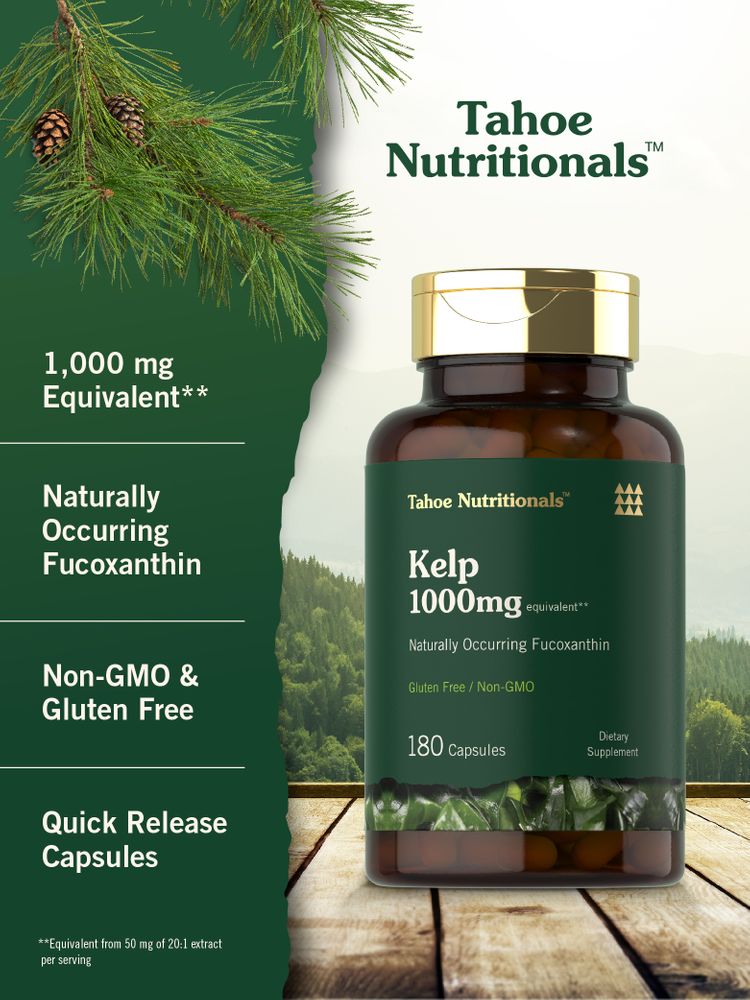 Hand holding bottle of Tahoe Nutritionals Kelp 1000 mg with 180 capsules, highlighting product size and quantity.