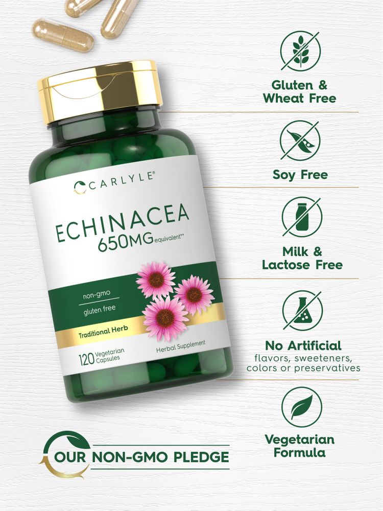 Light brown 650MG equivalent vegetarian Echinacea capsules shown next to a hand for size comparison.
