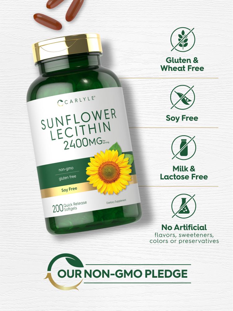 Sunflower Lecithin 2400mg Softgels held in hand to show size, with bulk scale packaging visible against a neutral background.