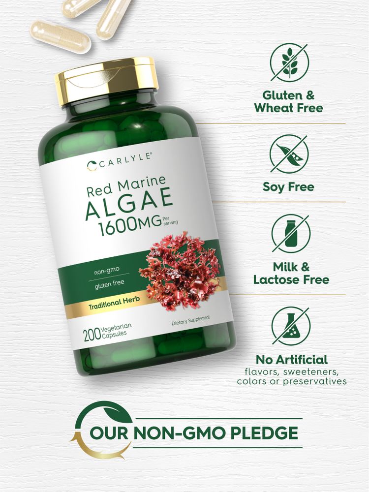 Light brown bottle of Red Marine Algae 1600mg Vegetarian Capsules held in hand.