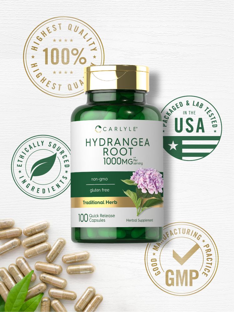 Hydrangea Root 1000mg Quick Release capsules spread out.