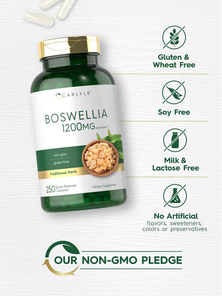 Carlyle Boswellia 1200mg equivalent Quick Release Capsules, 250 count, shown on a hand scale for size reference.