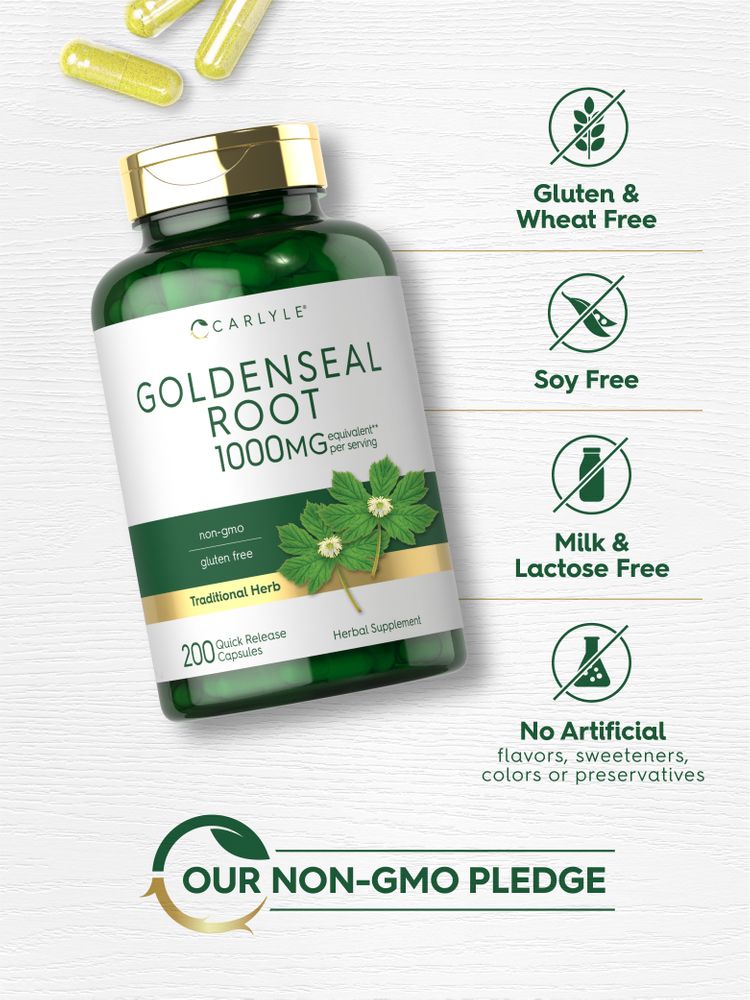 A hand holding Yellow Goldenseal Root 1000 mg Quick Release Capsules, scale showing bulk quantity in weight.