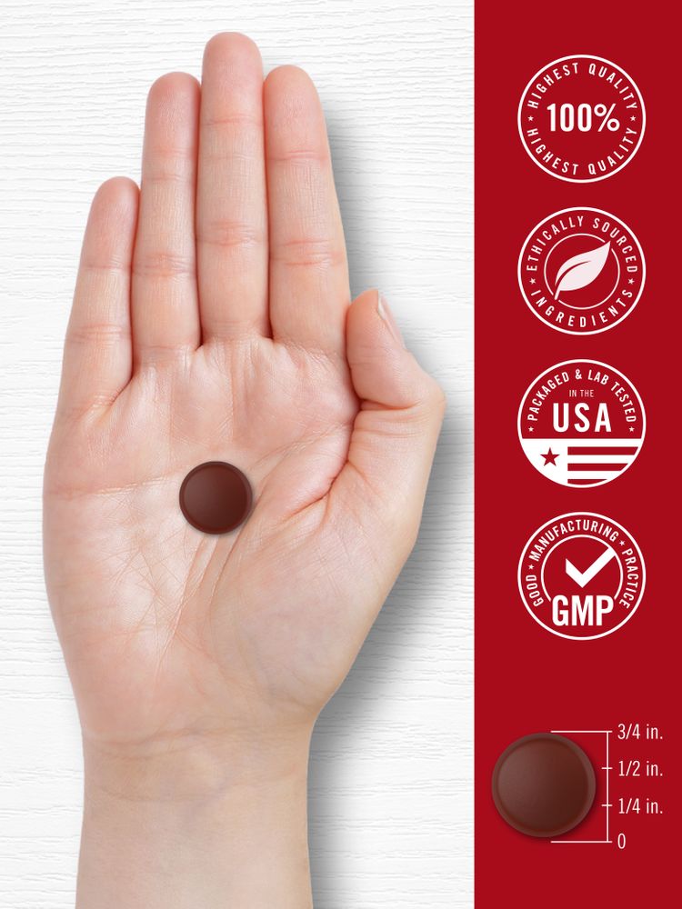 A hand holding a Beet Root Gummy, showing its 3/4 inch diameter, emphasizing its size for bulk purchase consideration.
