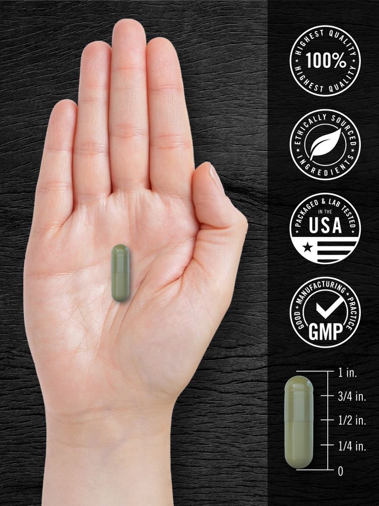A hand holds a green capsule next to an infographic showing the capsule's size as three-quarters inch.