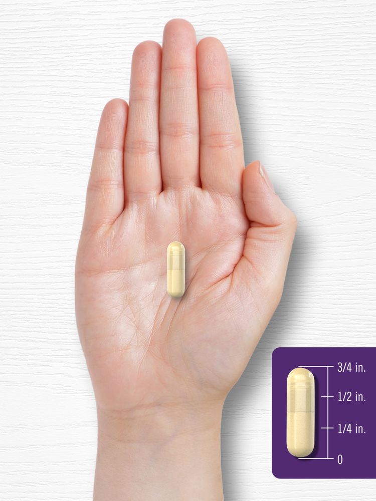 A light yellow capsule rests in a hand, measuring 3/4 inch on a visible size scale.