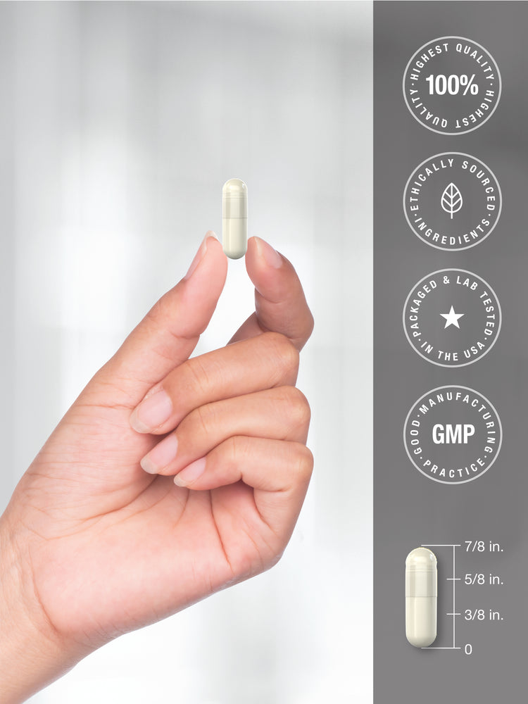 A cream capsule in a hand, with a size guide showing a length of 7/8 inch.