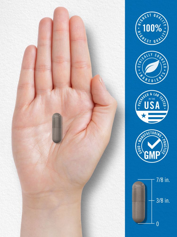 A capsule measuring 7/8 inches in length and 3/8 inches in width.