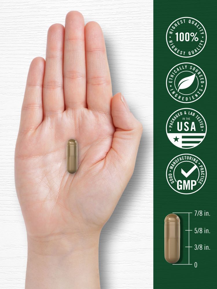 A capsule measuring seven-eighths of an inch long is shown on a hand scale, displayed in bulk for size reference.