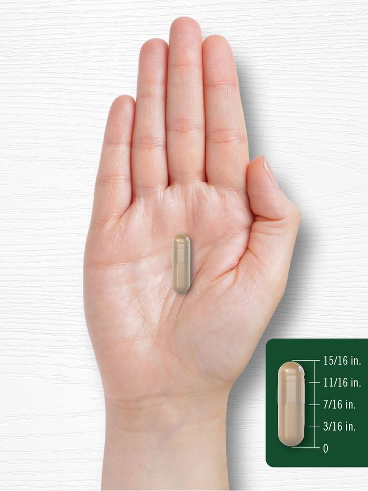 A hand holding a capsule that measures 15/16 inches in length.