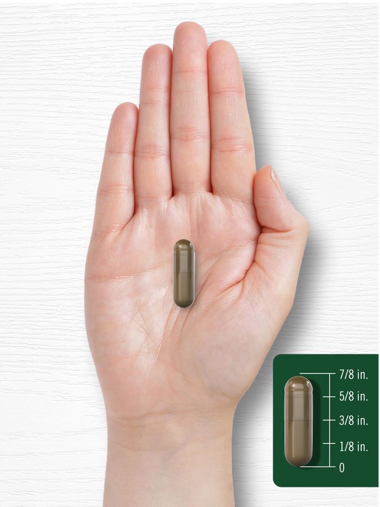 A capsule measures seven-eighths of an inch, shown on a calibrated scale held by hand for precision.