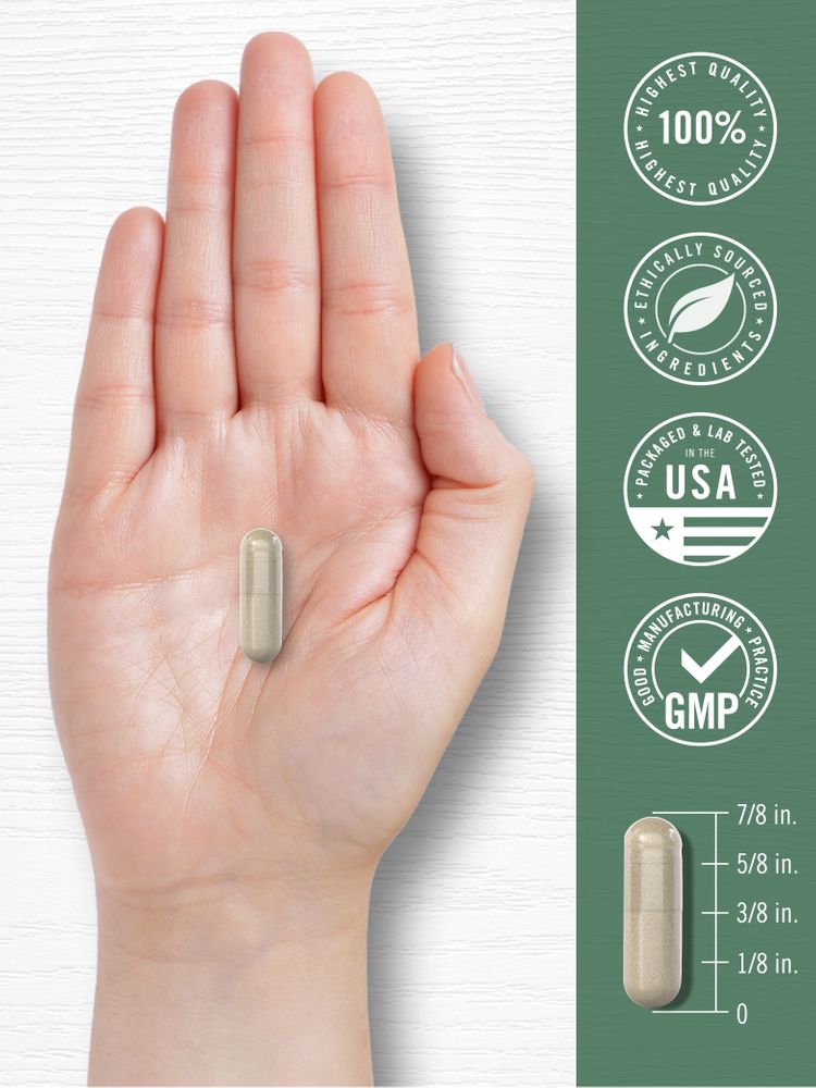 A capsule rests on a hand, with a side view showing the capsule's length as 7/8 inch on a scale.