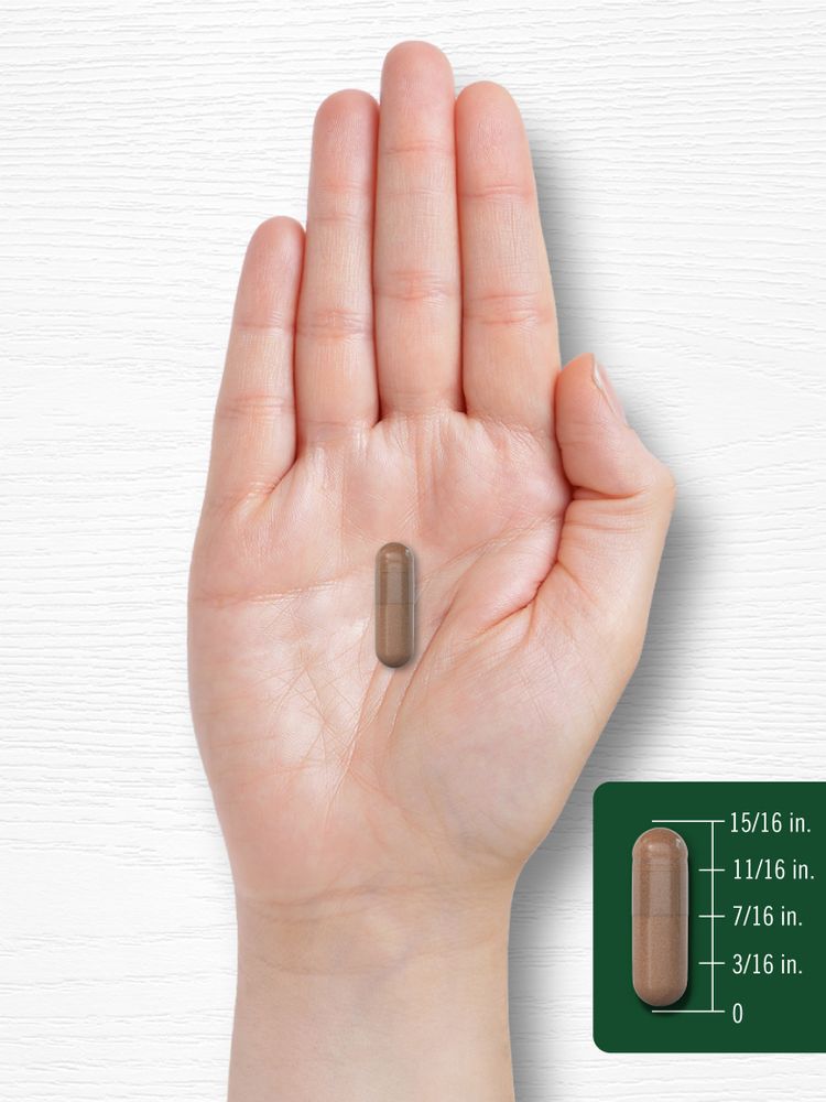 A hand holding a capsule measuring 15/16 inches on a bulk scale.