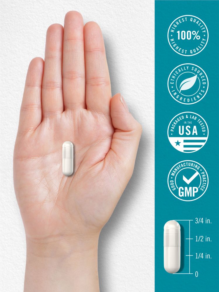 A white capsule in a person's hand, accompanied by an infographic illustrating the capsule's 3/4 inch length.