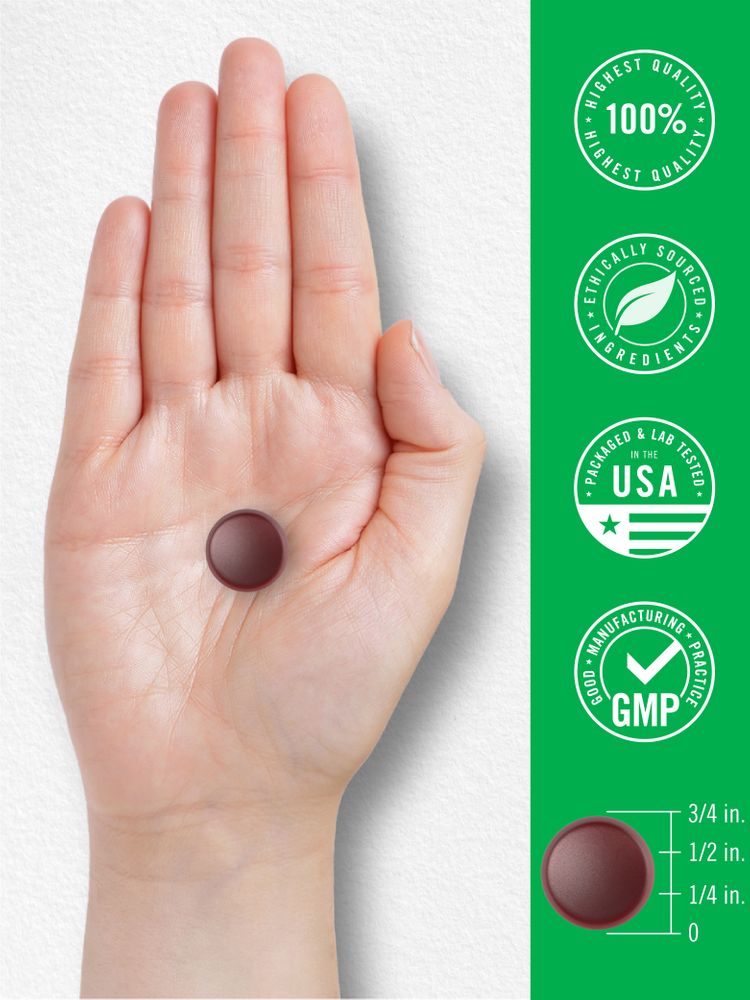 A dark red gummy, about half an inch wide, rests in the open palm of a hand, showcasing its size.