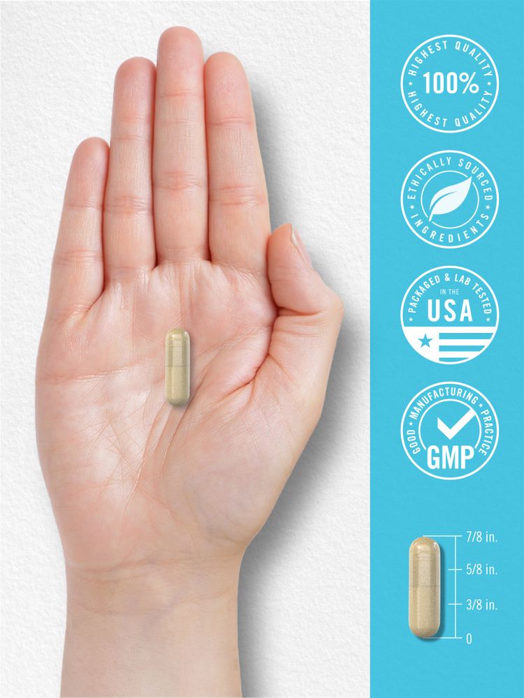 A hand holds a capsule, and a diagram shows the capsule measuring seven-eighths of an inch.