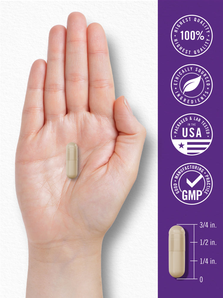 CL Probiotic 150 Billion CFU capsule, 3/4 inch long, shown on a hand.