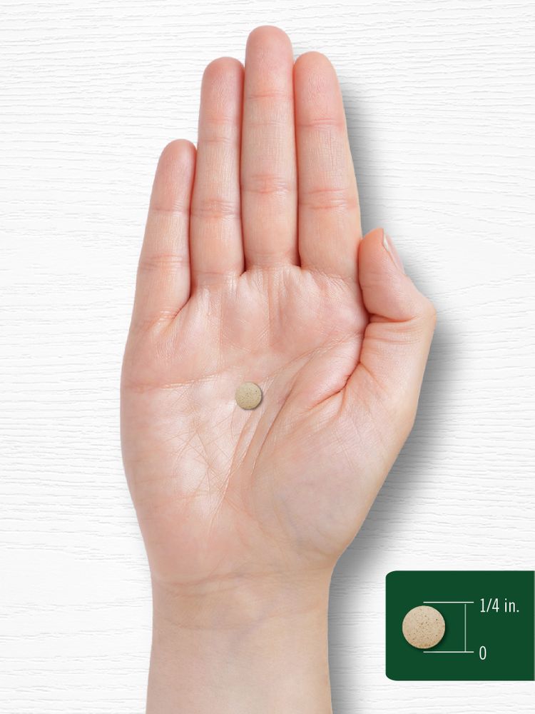 Round tablet on a hand scale, measuring about 1/4 inch in diameter.