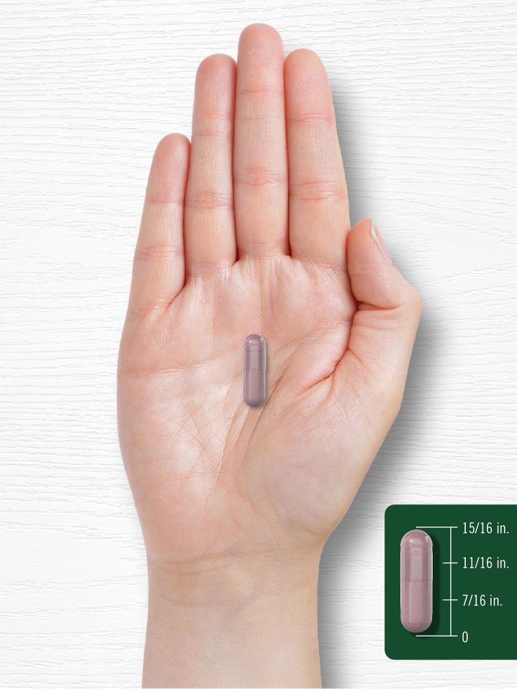 A purple capsule is shown on a hand scale, measuring approximately 15/16 inches in length.