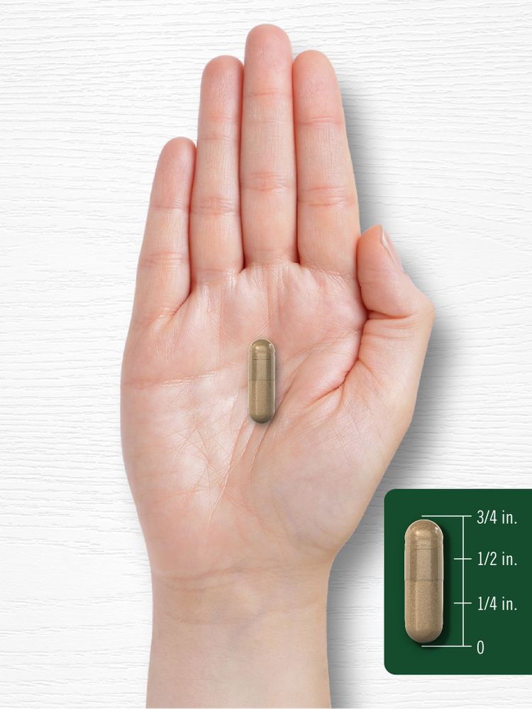 A capsule rests on an open hand, measuring three-fourths of an inch in length.