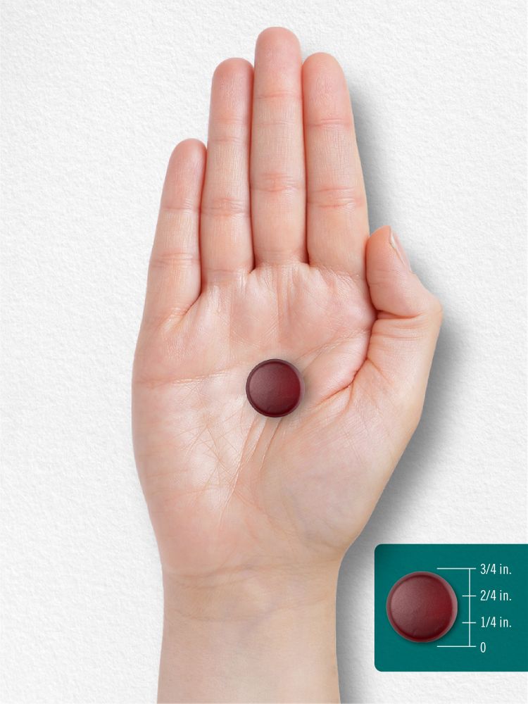 A red, round gummy measures 3/4 inch in diameter.