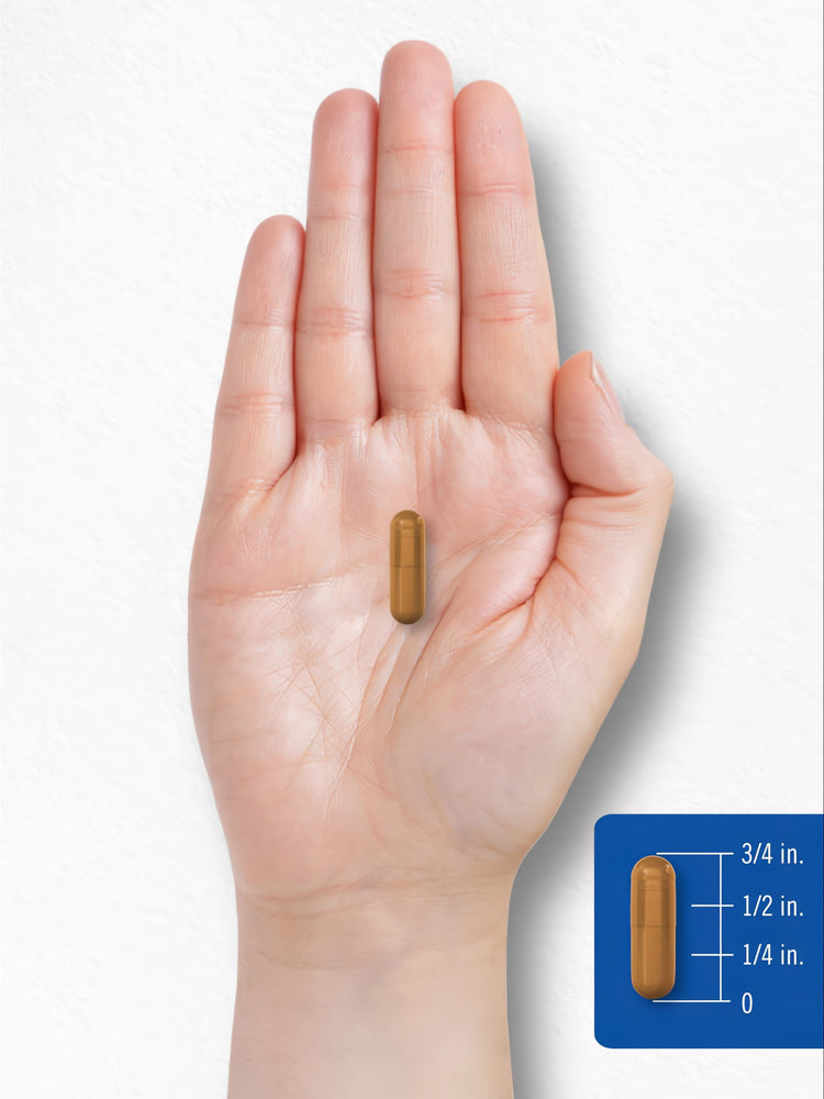 A single capsule, 3/4 inch long, rests on an open palm.