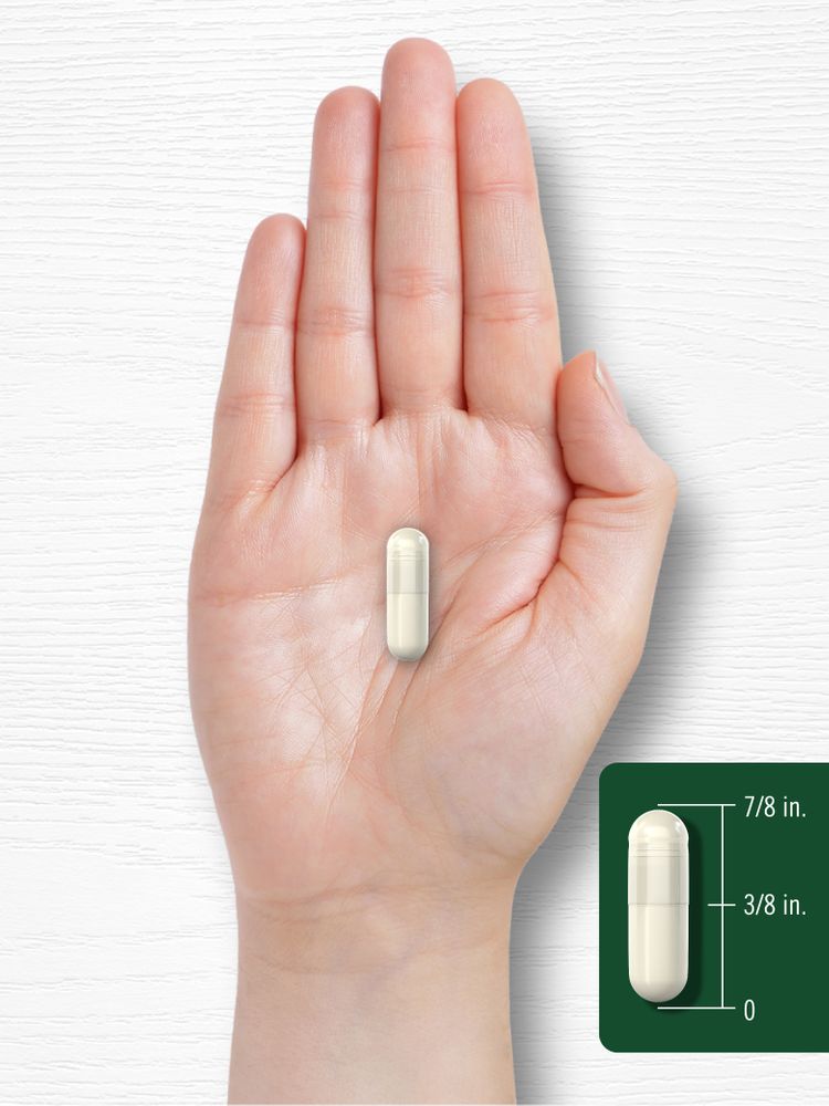 A capsule measuring 7/8 inch long and 3/8 inch wide.
