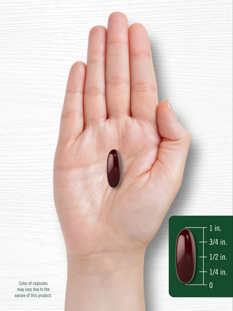 A dark red softgel capsule, 3/4 inch long, rests on a person's palm and next to a measurement scale.