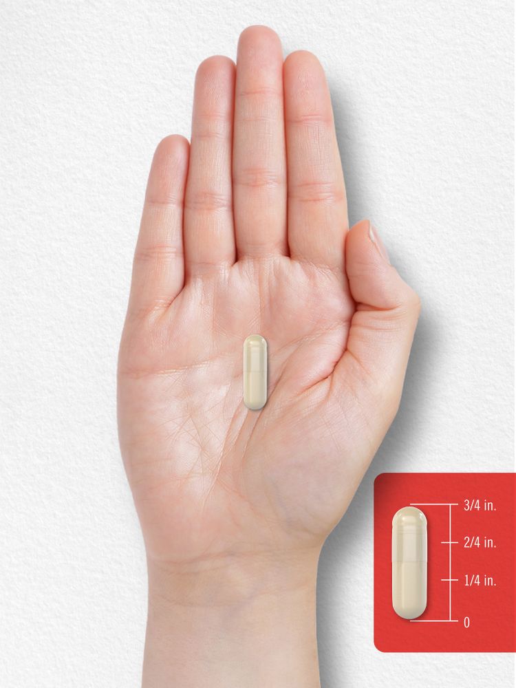 A hand holds a light-colored capsule, measuring about three-fourths of an inch long on a bulk scale.
